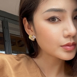 S925银针韩国轻奢个性几何锆石时尚小众高级设计感耳钉耳饰